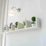Window On *