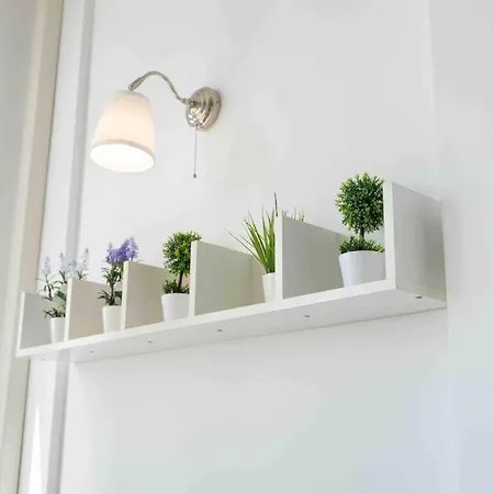 Window On *